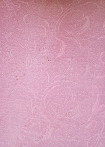 Pembe Bohem Tarzı Pastel Tül Perde - Görsel 2