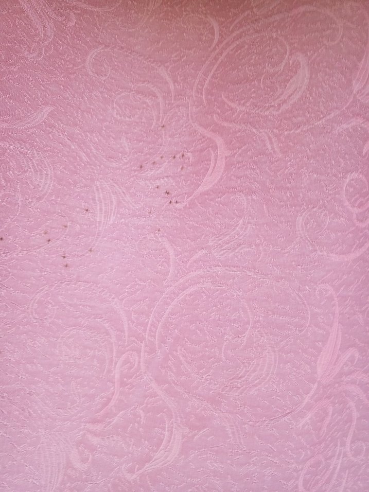 Pembe Bohem Tarzı Pastel Tül Perde - Görsel 2