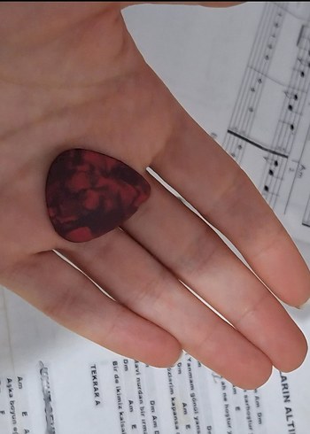 ARENAS AC480Y Klasik Gitar Çantalı - Görsel 6