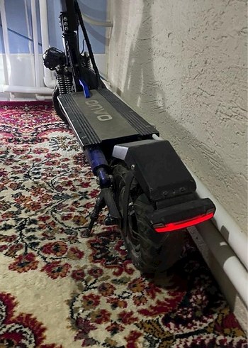 Siyah yetişkin scoter - Görsel 5