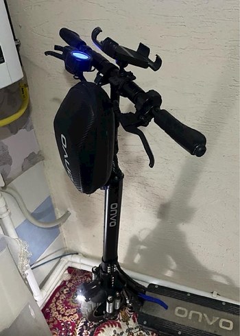 Siyah yetişkin scoter - Görsel 2