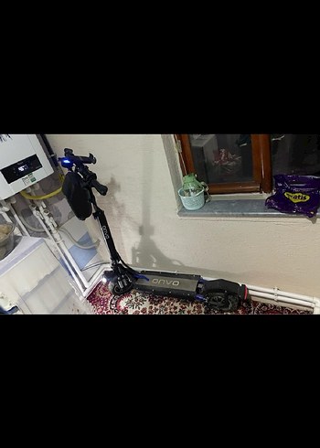 Siyah yetişkin scoter - Görsel 4