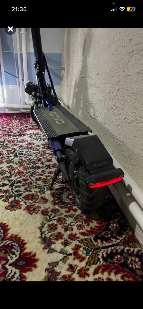 Siyah yetişkin scoter - Görsel 5