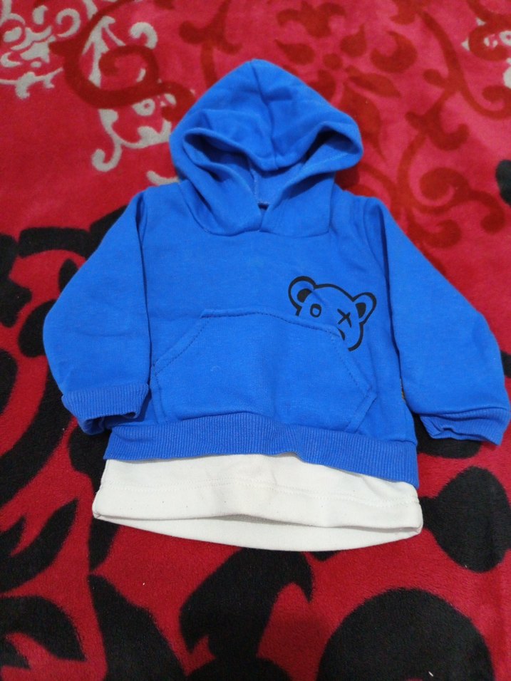 Kapüşonlu Mavi Erkek Çocuk Sweatshirt - Görsel 2