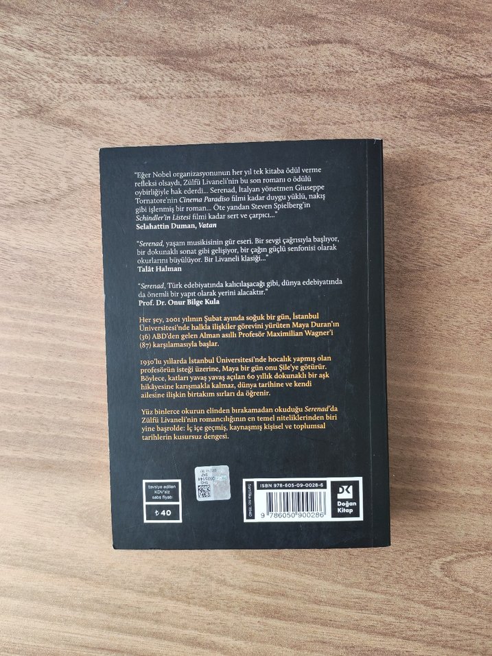 Livaneli - Serenad Romanı - Görsel 2