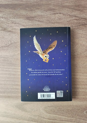 HARRY POTTER VE FELSEFE TAŞI - Görsel 3