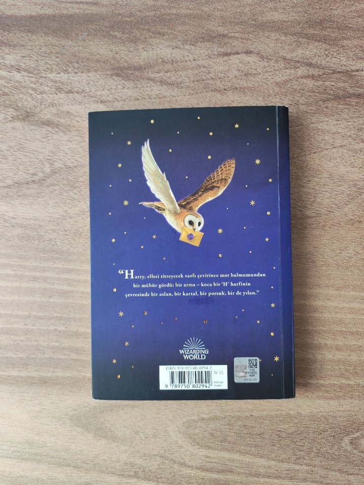 HARRY POTTER VE FELSEFE TAŞI - Görsel 3