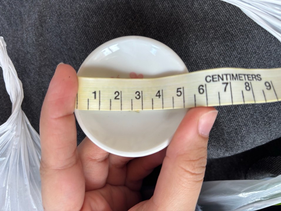 Oyuncak Porselen Çay Seti - Görsel 3