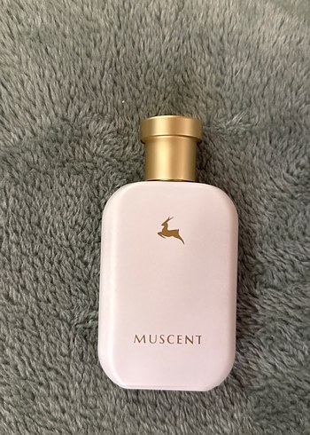 Muscent Sweet Oud - C004 - Görsel 2