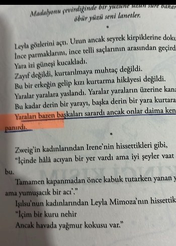 Mimoza - Işıl Su Gültekin - Görsel 8