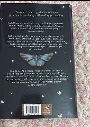 Mimoza - Işıl Su Gültekin - Görsel 2