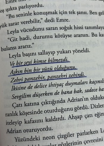 Mimoza - Işıl Su Gültekin - Görsel 7