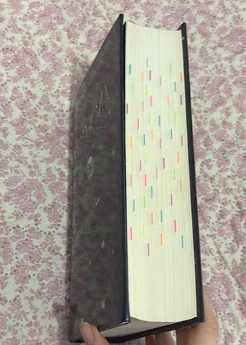 Mimoza - Işıl Su Gültekin - Görsel 3