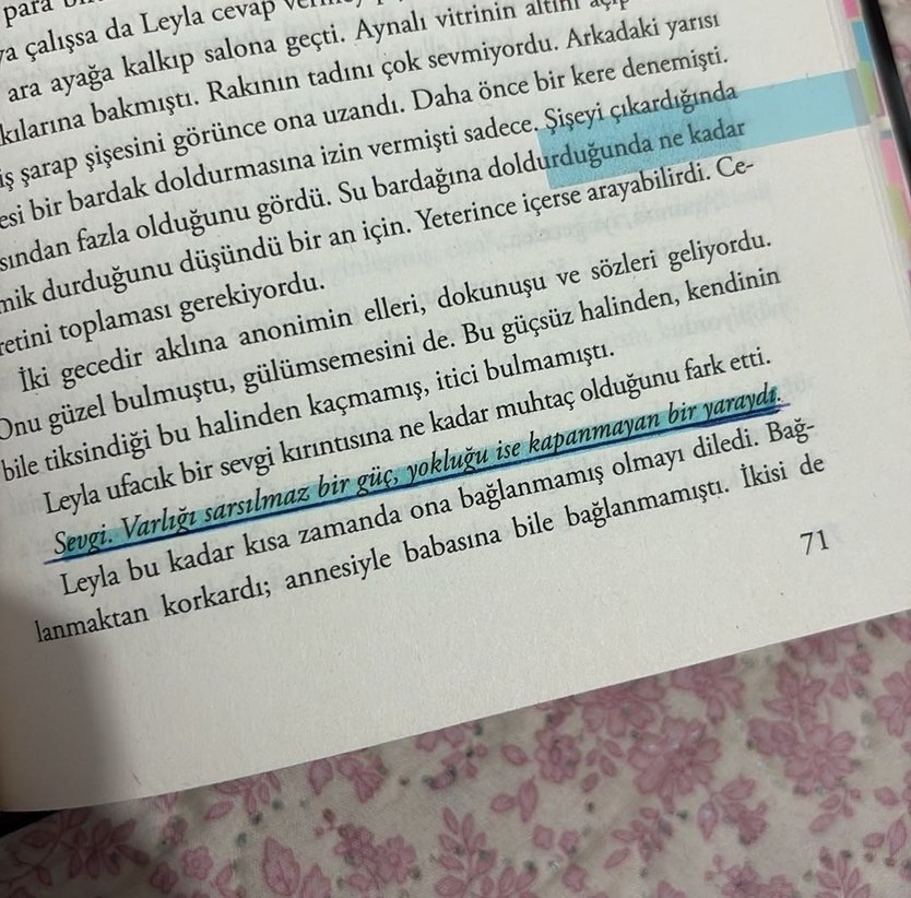 Mimoza - Işıl Su Gültekin - Görsel 5