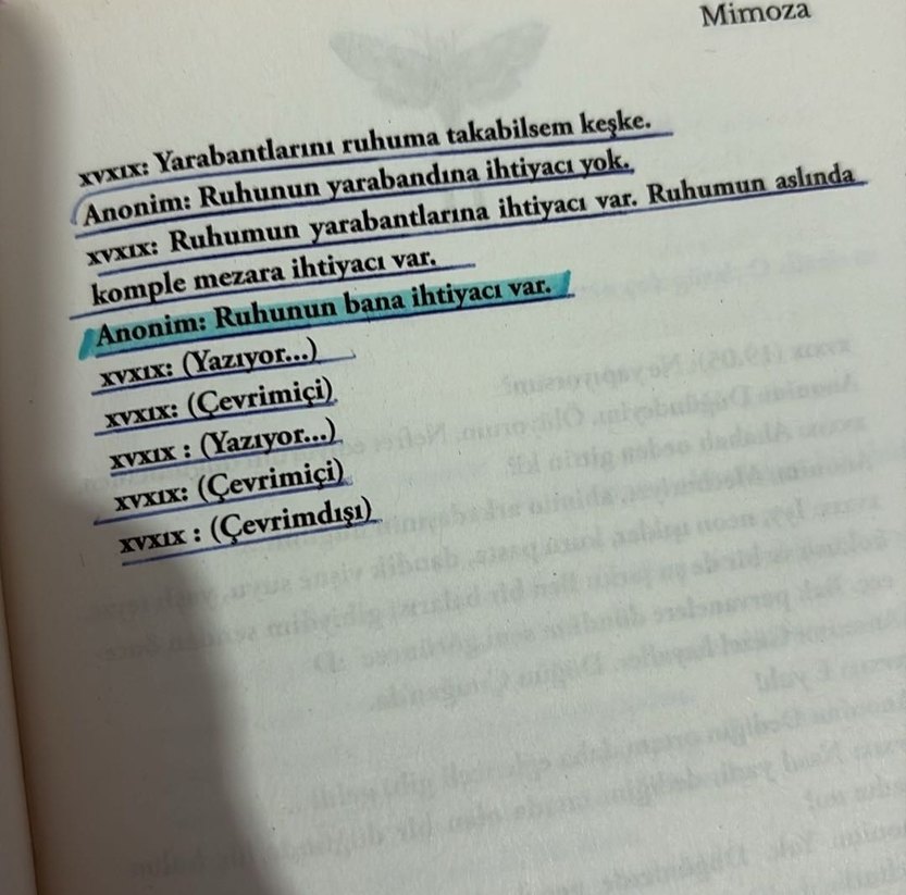 Mimoza - Işıl Su Gültekin - Görsel 4