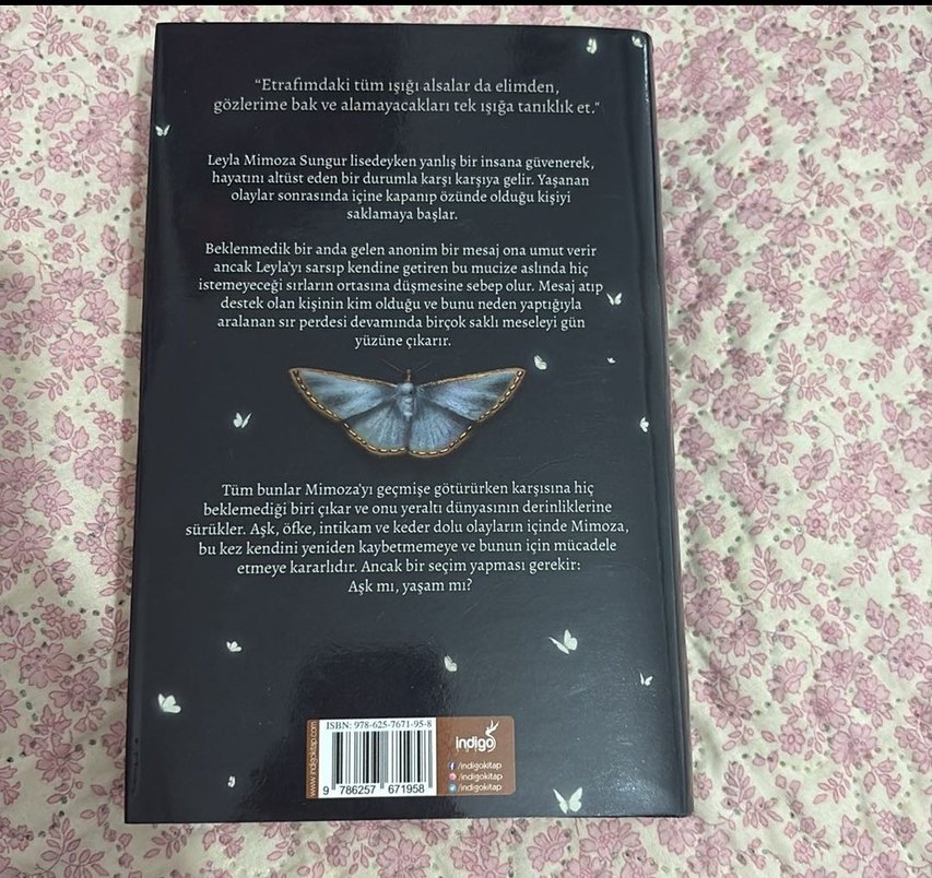 Mimoza - Işıl Su Gültekin - Görsel 2