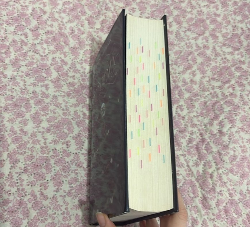 Mimoza - Işıl Su Gültekin - Görsel 3