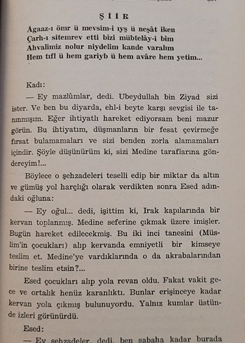 SAADETE ERMİŞLERİN BAHÇESİ. FUZULİ. - Görsel 5