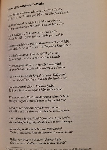 GÖNÜLLER SULTANI OSMAN HULUSİ EFENDİ - Görsel 6