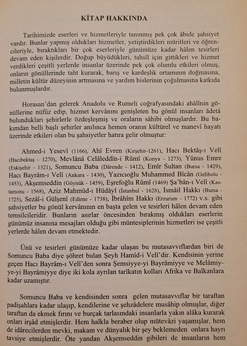 GÖNÜLLER SULTANI OSMAN HULUSİ EFENDİ - Görsel 4
