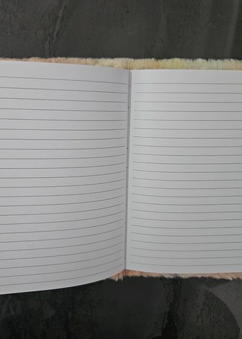 YILDIZ DETAYLI PELUŞ DEFTER - Görsel 2