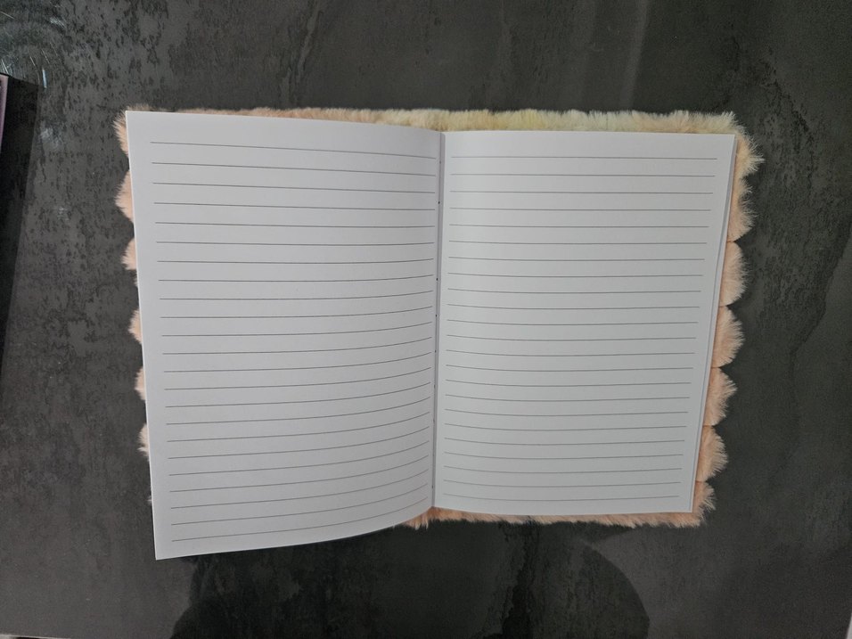 YILDIZ DETAYLI PELUŞ DEFTER - Görsel 2