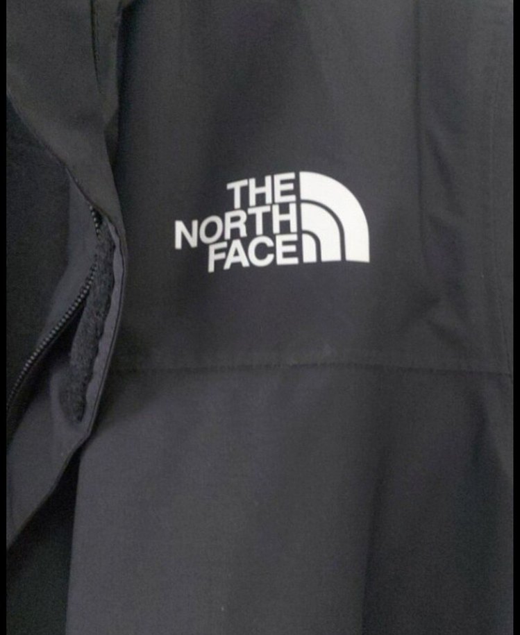 North Face Orijinal Erkek Siyah Rahat Kesim Fermuarlı Mont - Görsel 4