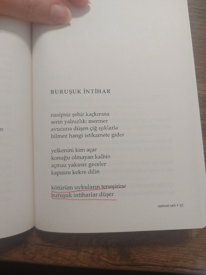 Mehmet Narlı - Ömürlük Yara (Şiir) - Görsel 3