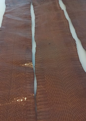 Parlak Kahverengi Yılan derisi - Görsel 6