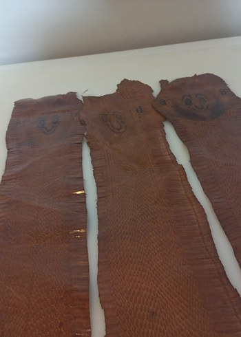 Parlak Kahverengi Yılan derisi - Görsel 5