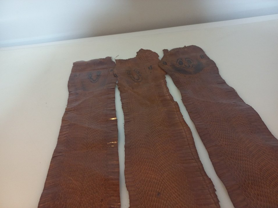 Parlak Kahverengi Yılan derisi - Görsel 5