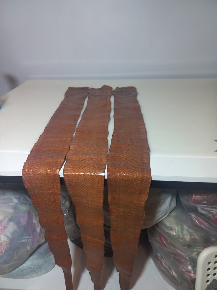 Parlak Kahverengi Yılan derisi - Görsel 3