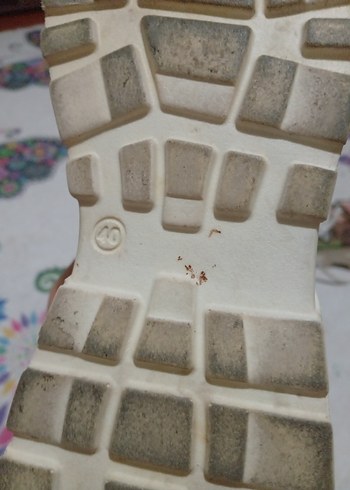 Bayan yazlık spor ayakkabı - Görsel 3