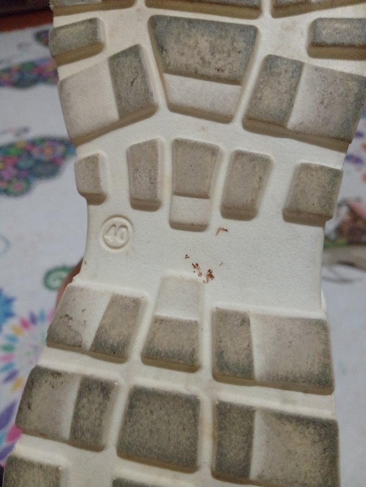 Bayan yazlık spor ayakkabı - Görsel 3