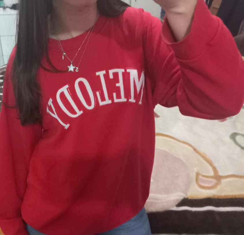 Sweatshirt - Görsel 2