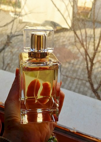 Dor'Elly Kadın Parfümü - Görsel 5