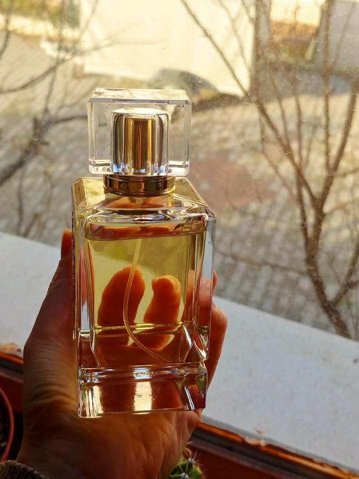 Dor'Elly Kadın Parfümü - Görsel 5