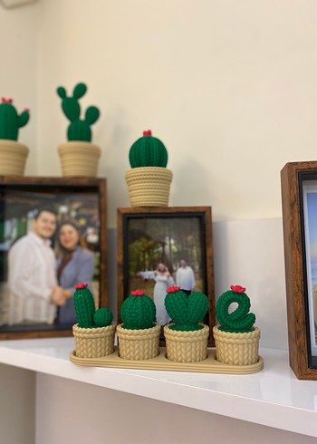 LOVE yazılı Kaktüs Seti - Görsel 3