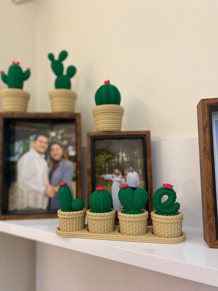 LOVE yazılı Kaktüs Seti - Görsel 2