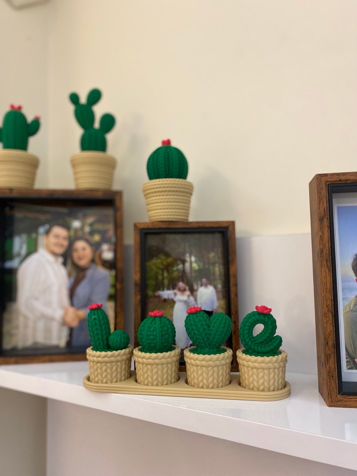 LOVE yazılı Kaktüs Seti - Görsel 3