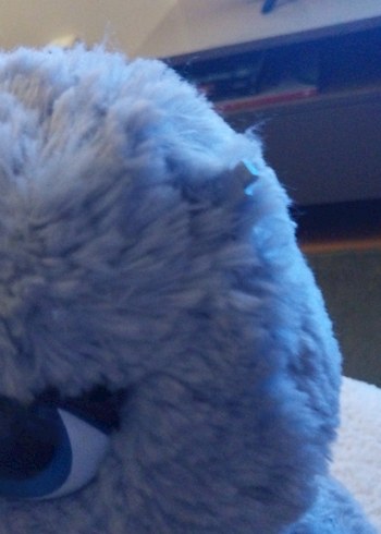 FURREAL FRİENDS GERÇEK KEDİ BİR KULAĞI EKSİK - Görsel 5