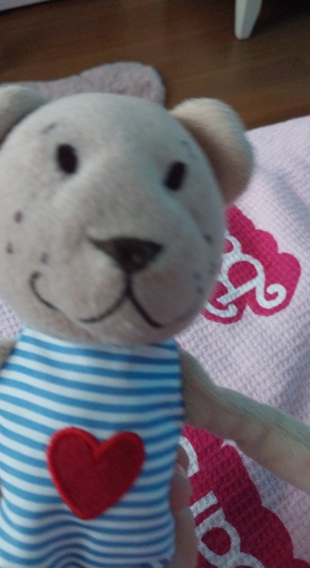 Kalpli Renkli Kahverengi Peluş Ayıcık - Görsel 4