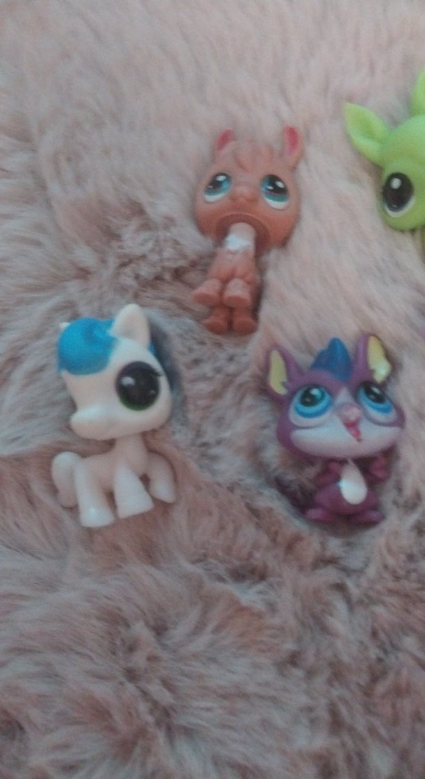 MİNİŞ SETİ ALTILIsahte - Görsel 3