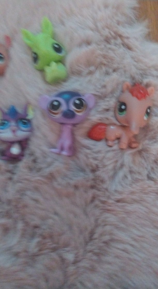 MİNİŞ SETİ ALTILIsahte - Görsel 2