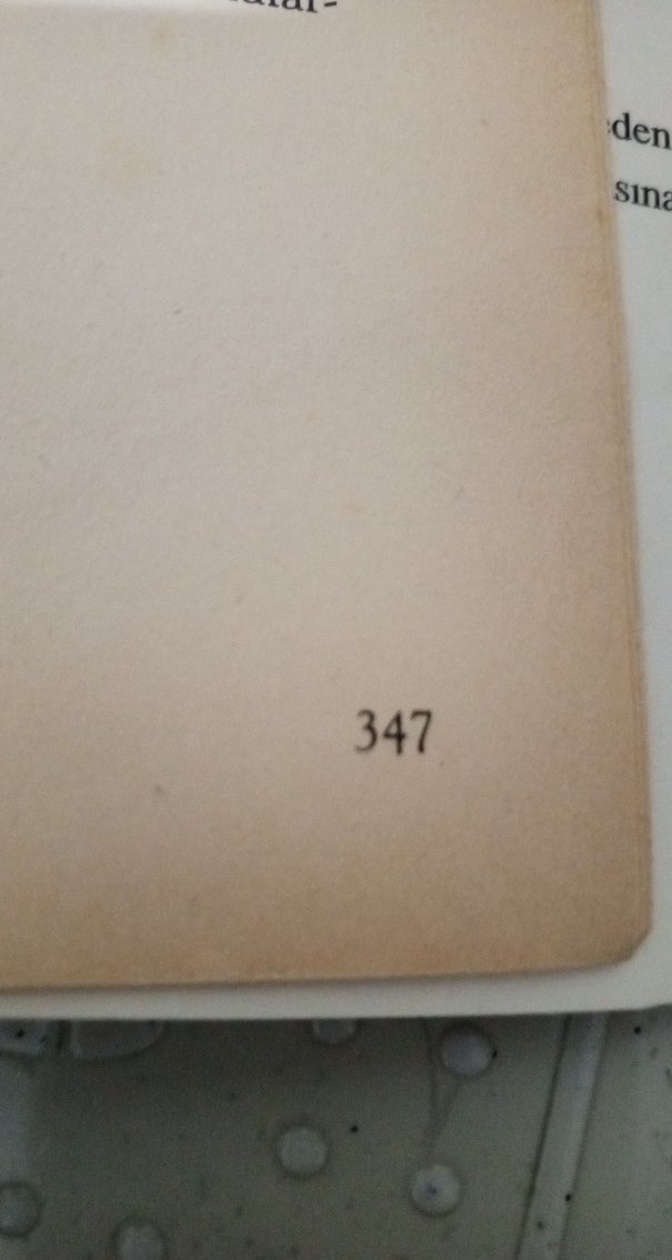 Bella Stella Aciman Neden Balm - Görsel 2