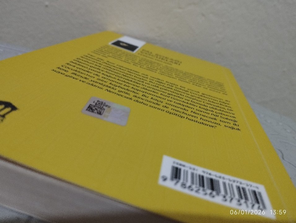 Pal Sokağı Çocukları - Ferenc Molnár - Görsel 3