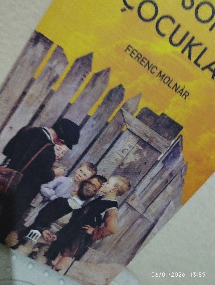 Pal Sokağı Çocukları - Ferenc Molnár - Görsel 2