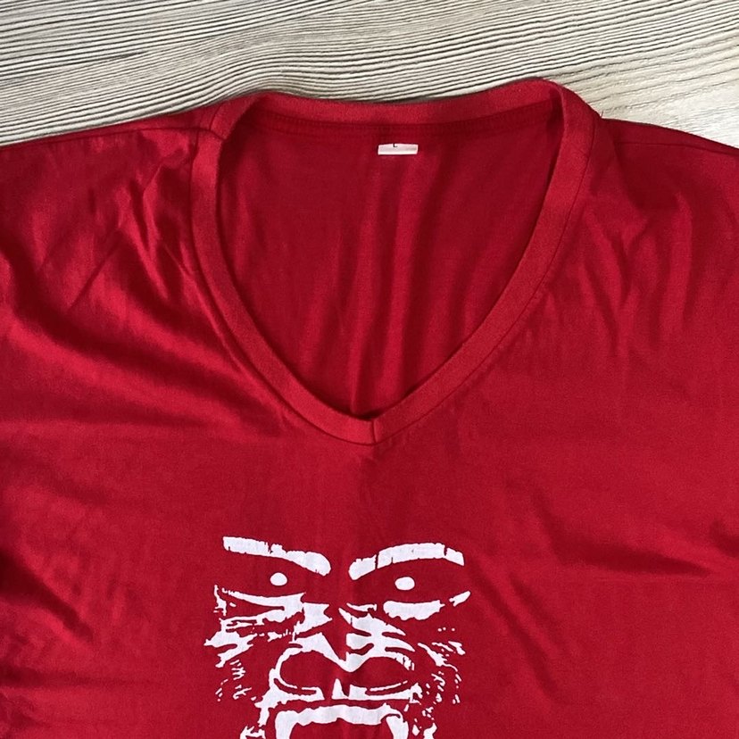 Kırmızı V Yaka Baskılı Erkek tişört - Görsel 2