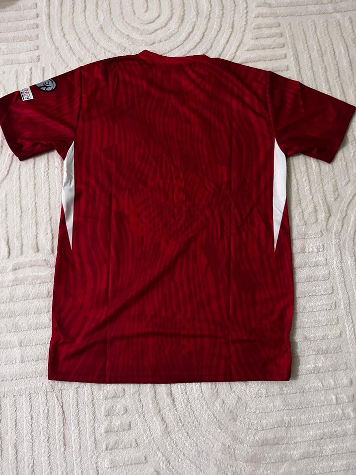 Kırmızı Erkek Kısa Kollu Spor Tişört - Görsel 2