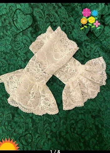 DANTEL KOLLUK 